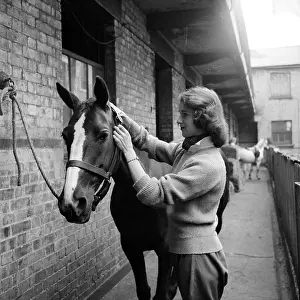 Equestrian Prints: Stable Girl