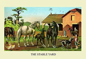 Foal Prints: The Stable Yard