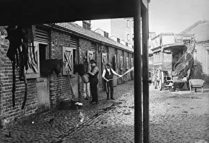 Stable Prints: Stables