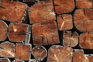 Wooden Gallery: Stack of firewood