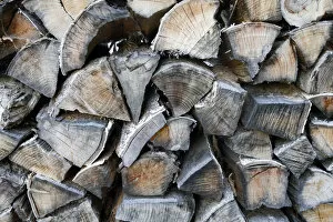 Images Dated 18th November 2012: Stack of wood, weathered firewood
