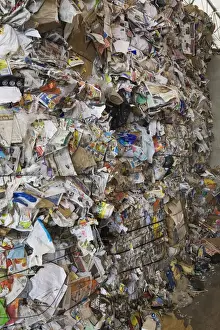 Recycling Prints: Stacked bales of recyclable cardboard and paper at a sorting centre, Quebec, Canada