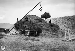 16882 Prints: Stacking Hay