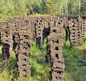 Images Dated 3rd October 2014: Stacks of peat sods left or drying in the traditional manner, Grundbeckenmoor Rosenheim