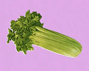 Illust Prints: Stalk of Celery