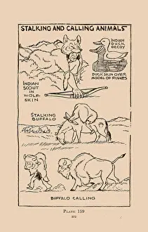 Buffalo Prints: Stalking and Calling Animals III