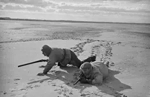 Roles And O Prints: Stalking Seals
