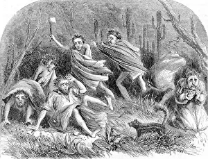 Stampeded By A Polecat
