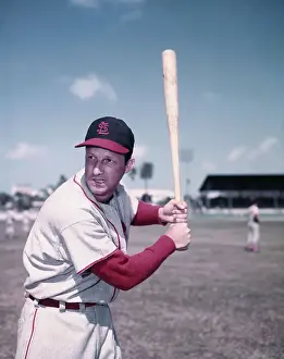 Stan Musial Prints: Stan Musial of St. Louis Cardinals Holding Baseball Bat in Position