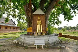 Images Dated 27th November 2015: Standing Buddha statue Wat Phukhao Thong temple Ayutthaya Thailand