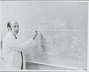 Stanford Prints: Stanford Professor Explaining Immune Response Genes