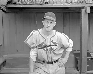 Stanley Musial Outfielder for Cardinals Posing in Uniform