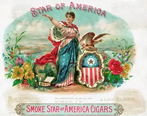 Cigar Box Prints: Star Of America Cigar Box W/ Woman