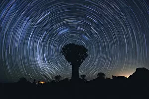 Images Dated 16th December 2009: Star Trails over the Quiver Tree Forest in Keetmanshoop, Namibia