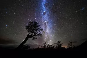 Images Dated 27th April 2018: Starry Night Over forest in Patagonia, Argentina