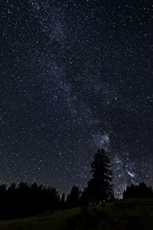 Milky Way Gallery: Starry sky with the Milky Way over a forest, Flums, Canton of St. Gallen, Switzerland