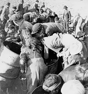 Scarcity Prints: Starving Germans Digging Through Garbage
