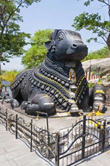 Statue of a decorated holy cow, Nandi Bull, Chamundi Hill, Mysore, Karnataka, India