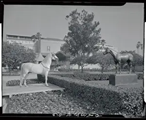Seabiscuit Prints: Statue of Racehorse Seabiscuit