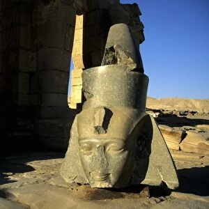 Images Dated 15th July 2012: Statues of Ramses II, Ramesseum Temple, Luxor