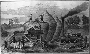 Steam Threshing