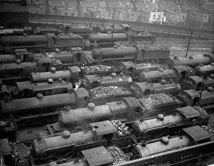 Steam Trains