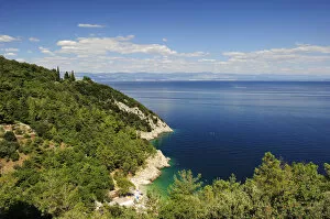 The steep coast of Istria, near Lovran, Istria, Croatia