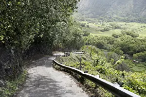 Mountain Road Collection: Steep mountain road with a 25% slope, Waipio Valley, Big Island, Hawaii, USA