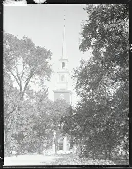 Cambridge Prints: Steeple Through Tree Line