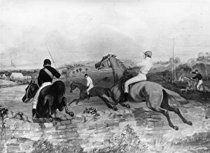 Horseback Riding Collection: Steeplechase
