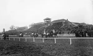 The Steeplechase