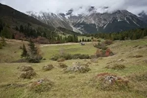 Steineralm alpine pasture, Obernberg, Tyrol, Austria, Europe