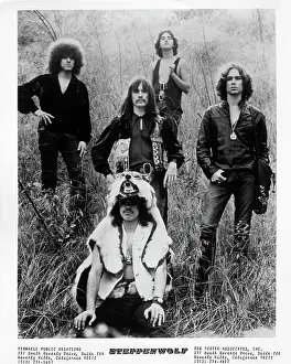 Steppenwolf Portrait Session