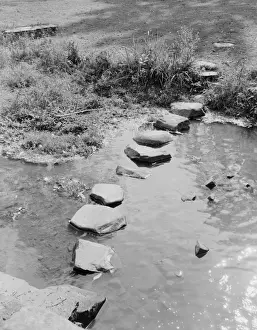 Stepping Prints: Stepping stones