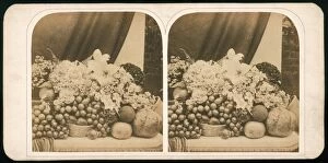 Images Dated 6th June 2008: Stereoscopic Still Life