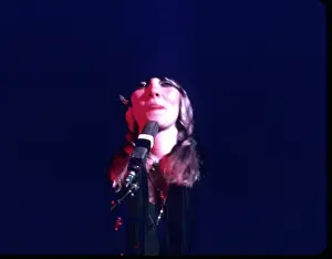 Stevie Nicks Performing