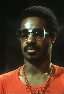 Stevie Wonder