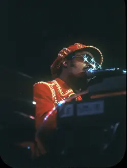 Stevie Wonder Performing in Red Hat