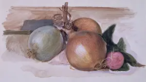 Prints of Still-Life - Study of Onions, 1871-75. Creator: Sir Edward Coley Burne-Jones. (Photo by Heritage Art/Heritage Images via Getty Images) Quiet Beauty: Moments of Stillness Captured in Art: Still-Life - Study Of Onions