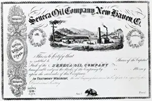 Stock Certificate