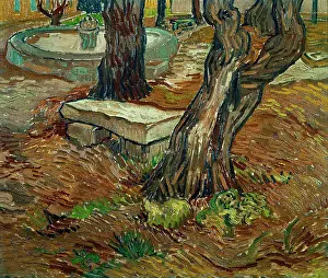 Museu De Arte De São Paulo Prints: The Stone Bench In The Asylum At Saint-Remy