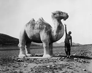 Stone Camel