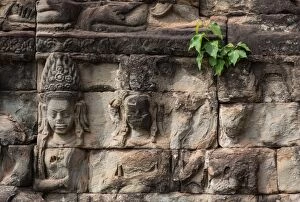 Images Dated 28th November 2015: Stone Carvings, Angkor Wat