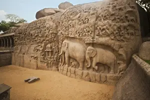 Stone carvings on the face of a rock at Arjunas Penance, Mahabalipuram, Kanchipuram District, Tamil Nadu, India