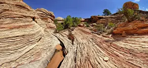Rock Desert Prints: Stone desert landscape, The Needles, Canyonlands National Park, Moab, Utah, United States