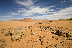 Sceneries Collection: Stone desert, Libyan Desert, Libya, Sahara, North Africa, Africa
