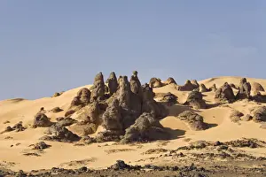 Strange Prints: Stone desert, Tassili Maridet, Libyan Desert, Libya, Sahara, North Africa, Africa