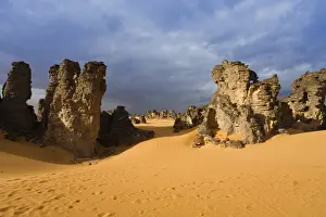Fell Prints: Stone desert, Tassili Maridet, Libyan Desert, Libya, Sahara, North Africa, Africa