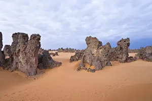 Fell Prints: Stone desert, Tassili Maridet, Libyan Desert, Libya, Sahara, North Africa, Africa