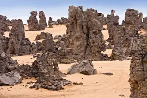 Fell Prints: Stone desert, Tassili Maridet, Libyan Desert, Libya, Sahara, North Africa, Africa